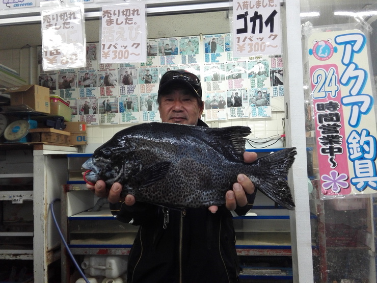 アクア釣具 釣果情報 アクア釣具 釣果情報