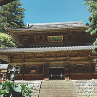 恐竜とお寺 恐竜とお寺