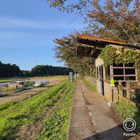 奥能登国際芸術祭2020プラス~再び~ 奥能登国際芸術祭2020プラス~再び~