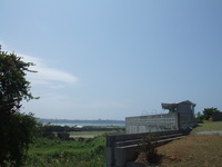 シ～ミ～ 2008/04/07 18:48:39