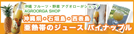 沖縄 パイナップル ジュース