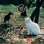 写めくり06