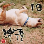 写めくり13