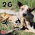 写めくり26