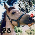 写めくり28