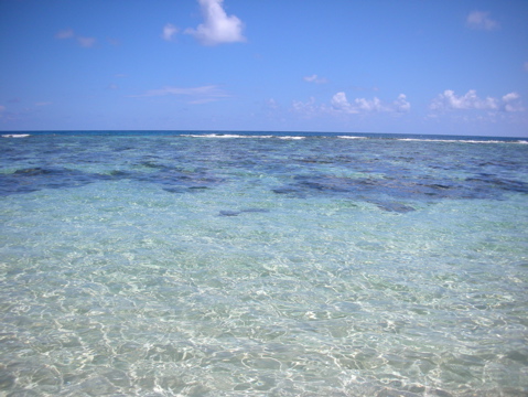島自慢の海