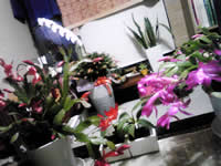 花屋