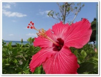 2011年10月30日
