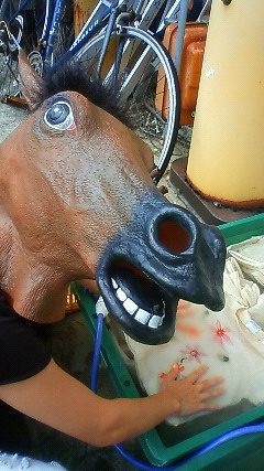 暑いからこそ馬になる。