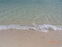 行ってきました~