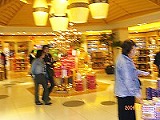 行ってきました・・