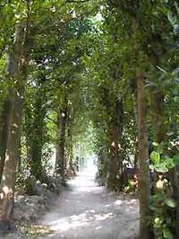 明日から 2008/07/28 17:19:41
