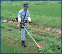 いよいよ出発しまーす！ 2007/06/09 08:46:23