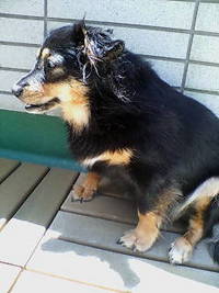 2007年07月09日