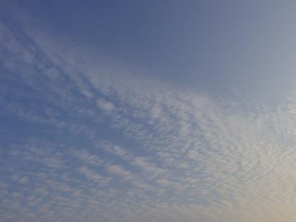 癒されながら 癒されながら