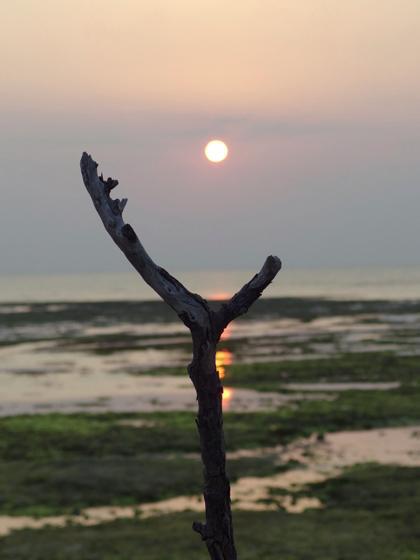太陽のかけら 太陽のかけら