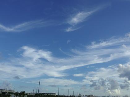 西洲だより 西洲だより