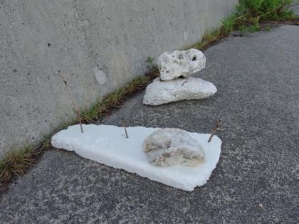海岸で見つけた物 海岸で見つけた物