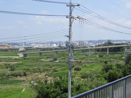 田芋畑の橋2