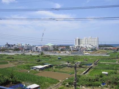 田芋畑の橋2