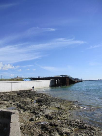 久々の西海岸道路