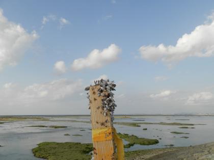 自然の建造物3 自然の建造物3