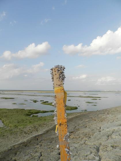 自然の建造物3 自然の建造物3