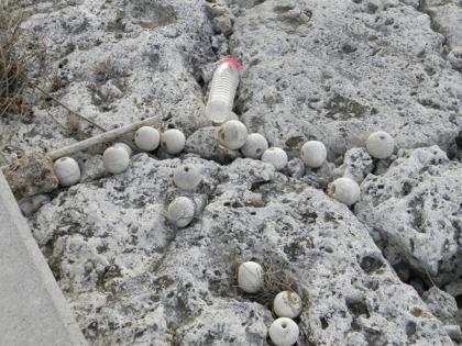 自然の建造物4 自然の建造物4