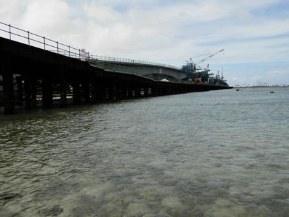 海人になる。 海人になる。