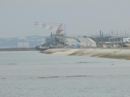 土がモリモリ 土がモリモリ