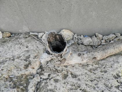 西洲海岸散策3 西洲海岸散策3