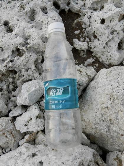 西洲海岸散策3 西洲海岸散策3