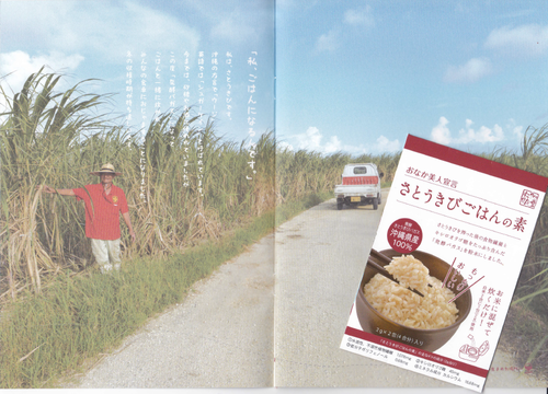 野菜ソムリエコミュニティ沖縄 交流会・総会inあいあいファーム ご報告③ 沖縄スーパーフード協会とは? 野菜ソムリエコミュニティ沖縄 交流会・総会inあいあいファーム ご報告③ 沖縄スーパーフード協会とは?