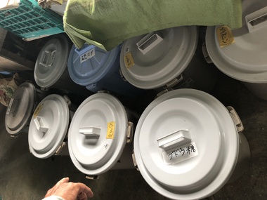 菜縁おきなわ圃場見学&収穫体験 菜縁おきなわ圃場見学&収穫体験