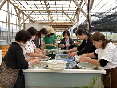 コミュニティ沖縄総会&ランチ交流会、海ぶどう収穫体験企画