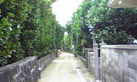 少年時代 2008/07/25 01:52:44