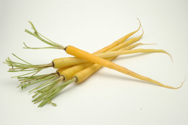おすすめ沖縄野菜の情報を募集!