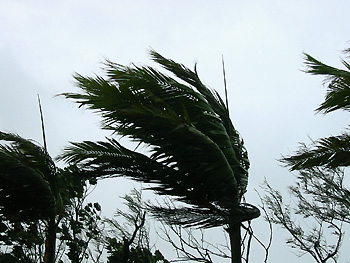 沖縄の台風