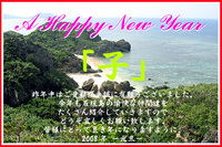 海風年賀状2008 2008/01/01 16:28:28