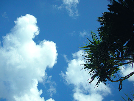 真夏の空