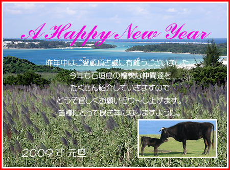 島風年賀状2009