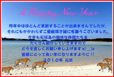 島風年賀状