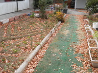 龍を探しに （番外編１・廃園の茶会） 2012/01/15 00:05:00