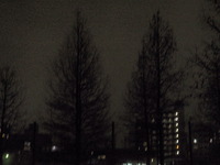 針供養について、無理やり沖縄につなげた感想。 2012/02/08 20:08:00