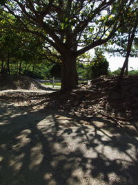 行ってきました　その２ 2008/08/07 14:44:28