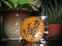 おめでとうせんべい。 2008/05/27 09:47:25