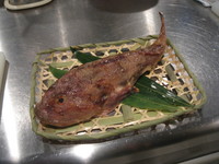 鰍。 2008/06/20 09:58:48