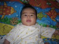 台風一過。。 2008/09/19 10:34:26