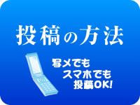 投稿の方法