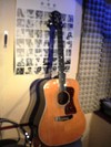 ギルド君、入院しました。